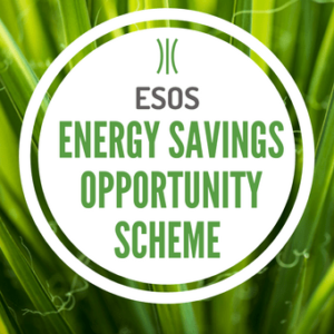 Energy Savings Opportunity Scheme