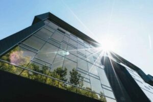 10 tips to reduce your business carbon footprint