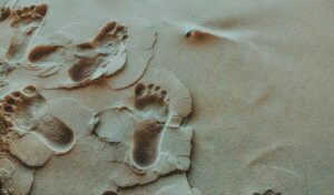 Carbon Footprint Course