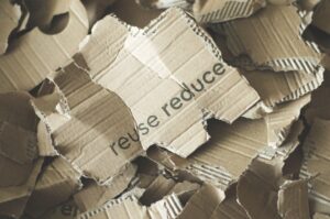 Environmental Myths