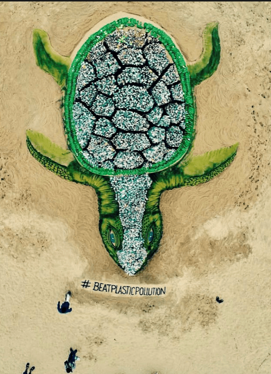 Turtle - World Environmental Day 2018
