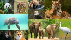 Earth Day 2019