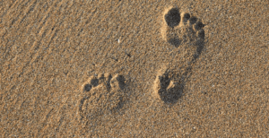 Carbon Footprint Course