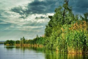 Ecosystem Services concept