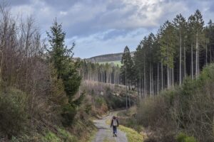 Ecosystem Services