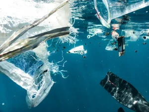 Image shows plastic pollution under water with plastic cups, bottles, and material floating underneath the water.