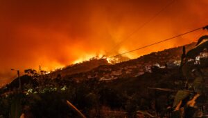 Forest fire with red sky