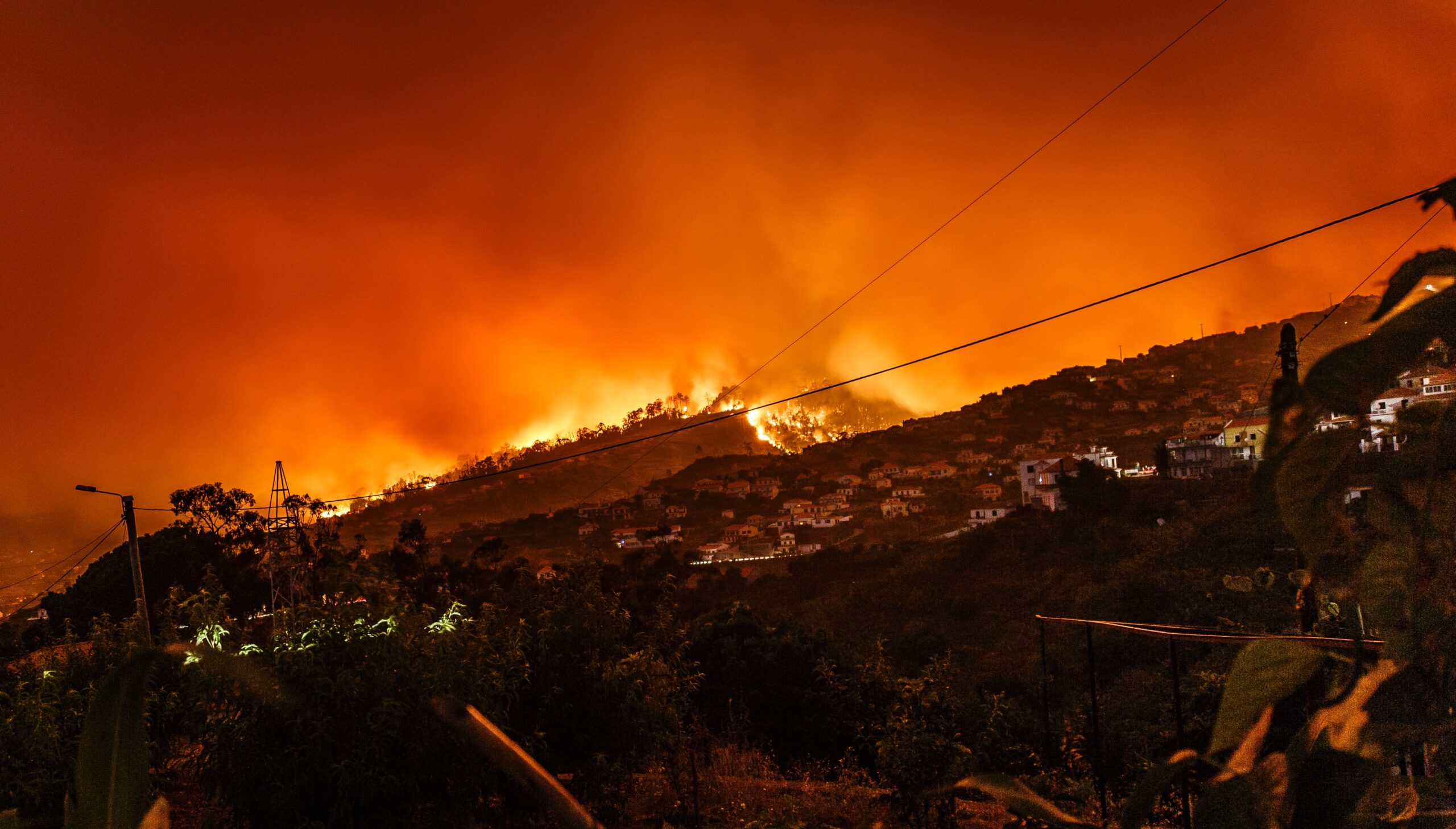 Forest fire with red sky